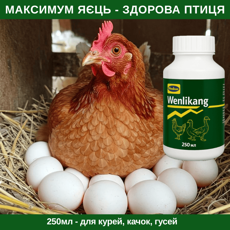 Wenlikang — пробіотик для курей