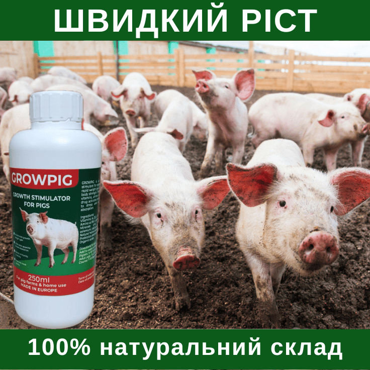 Grow Pig — пробіотик для швидкого росту свиней